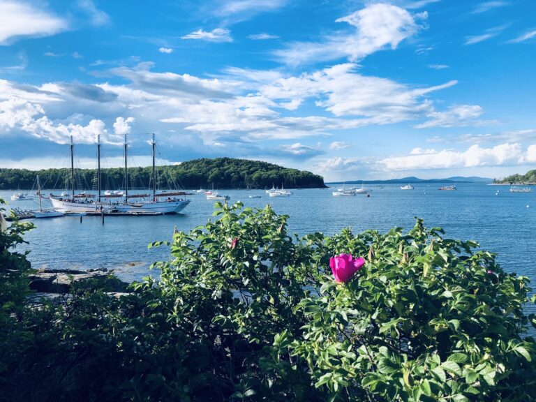 Bar Harbor Bay