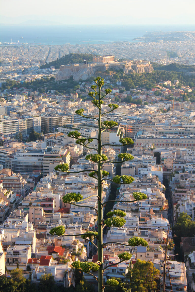 Ancient Skyline