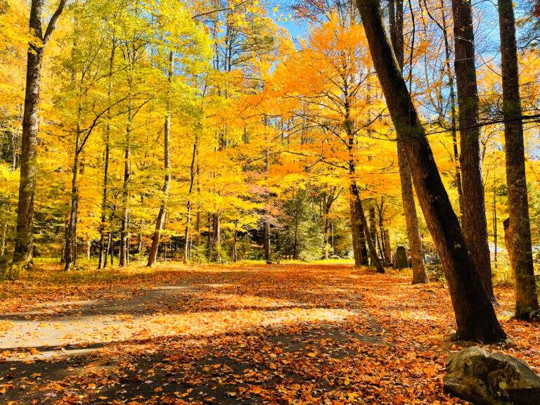 Heavenly Campground