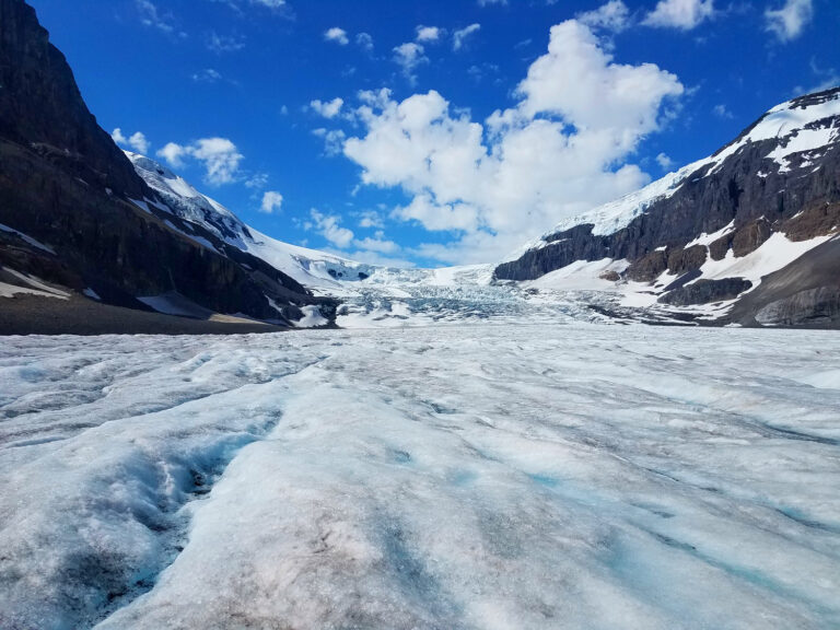 Ice Field