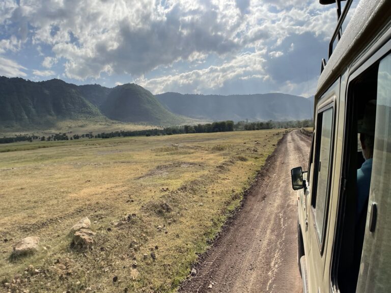 Ngorongoro