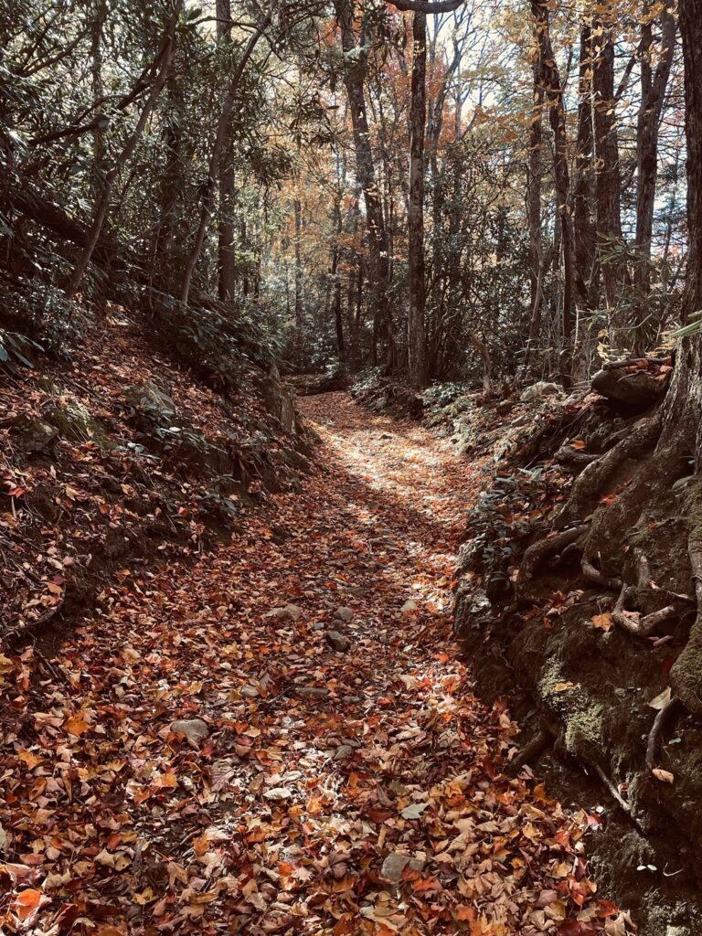 Smoky Mountain Trail