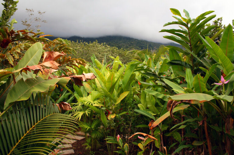 Gardens of Arenal