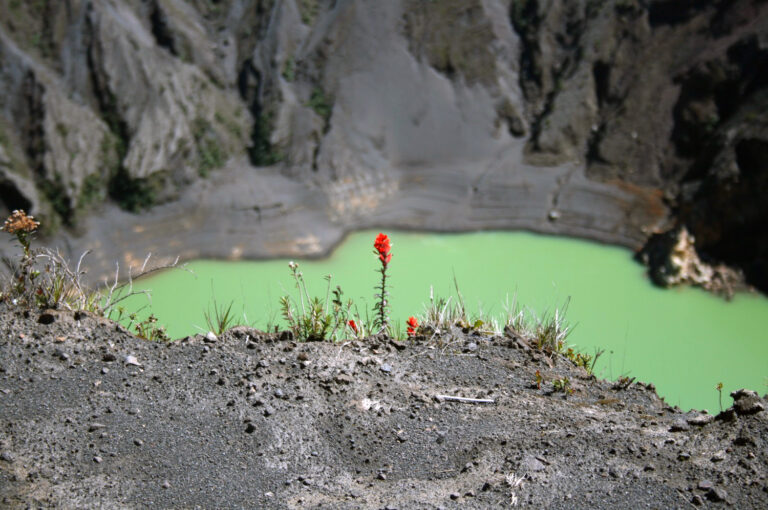 Irazú Bloom