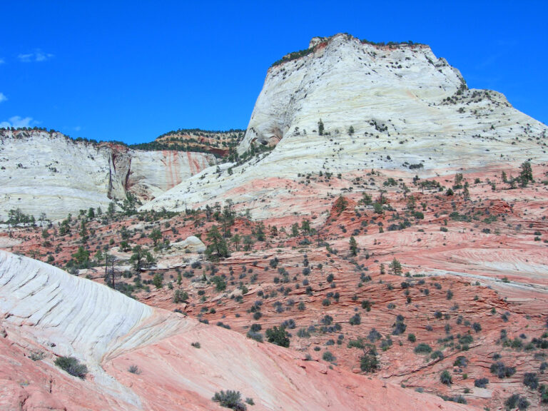 Petrified Dunes