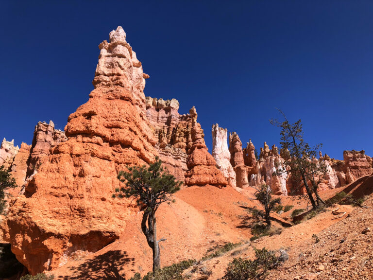 Rise of the Hoodoos