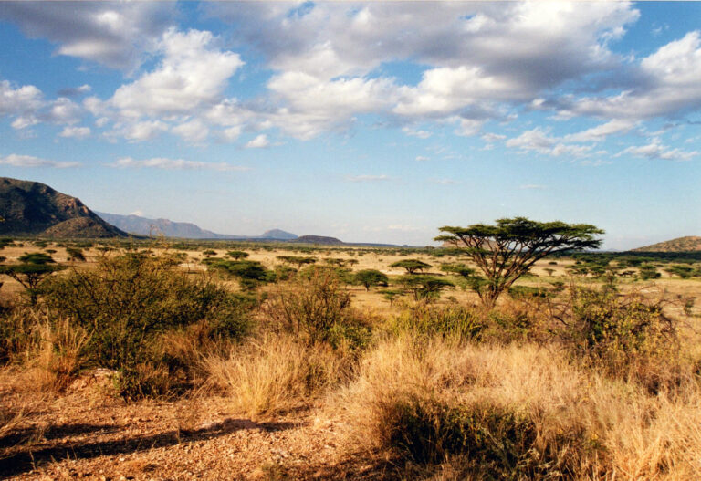 Rift Valley