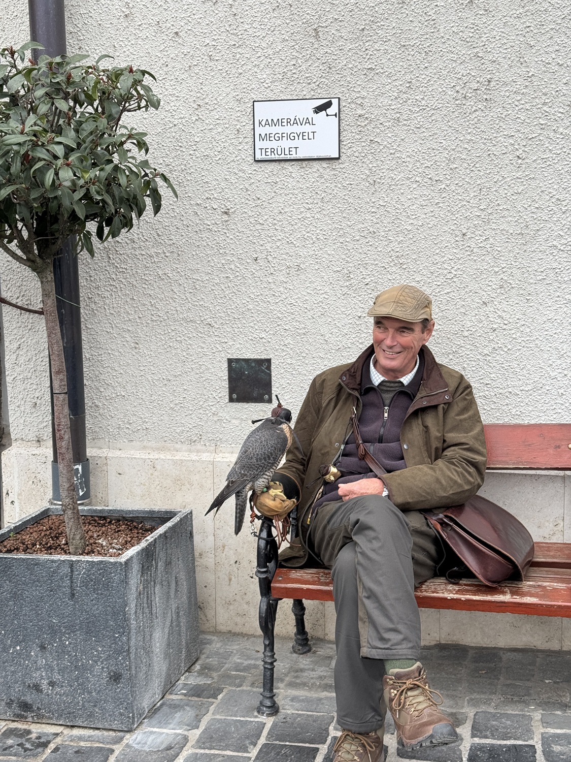 Falconeer